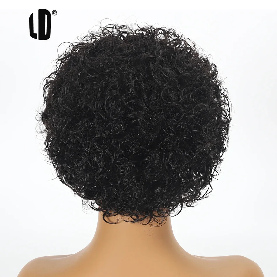 Pixie Cut Wig 99J Color Lace W - Short Pixie Cut Wig Human Hair Cheap review and price